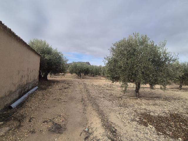 Imagen 34 Inmueble 298055 - Casa Rústica en venta en Tobarra / Casa pareada en Cordovilla-Tobarra, con parcela +-700m2