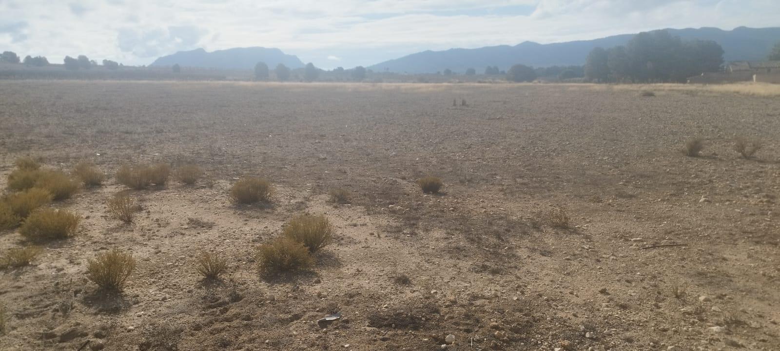 Imagen 1 Casa Rústica en venta en Salinas / Finca rústica zona Finca Sonrisa, yendo a la derecha