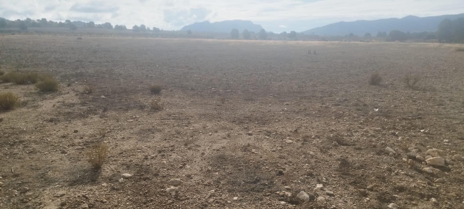 Imagen 3 Casa Rústica en venta en Salinas / Finca rústica zona Finca Sonrisa, yendo a la derecha