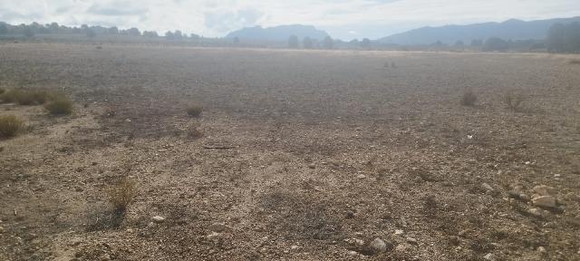 Imagen 3 Inmueble 298510 - Casa Rústica en venta en Salinas / Finca rústica zona Finca Sonrisa, yendo a la derecha