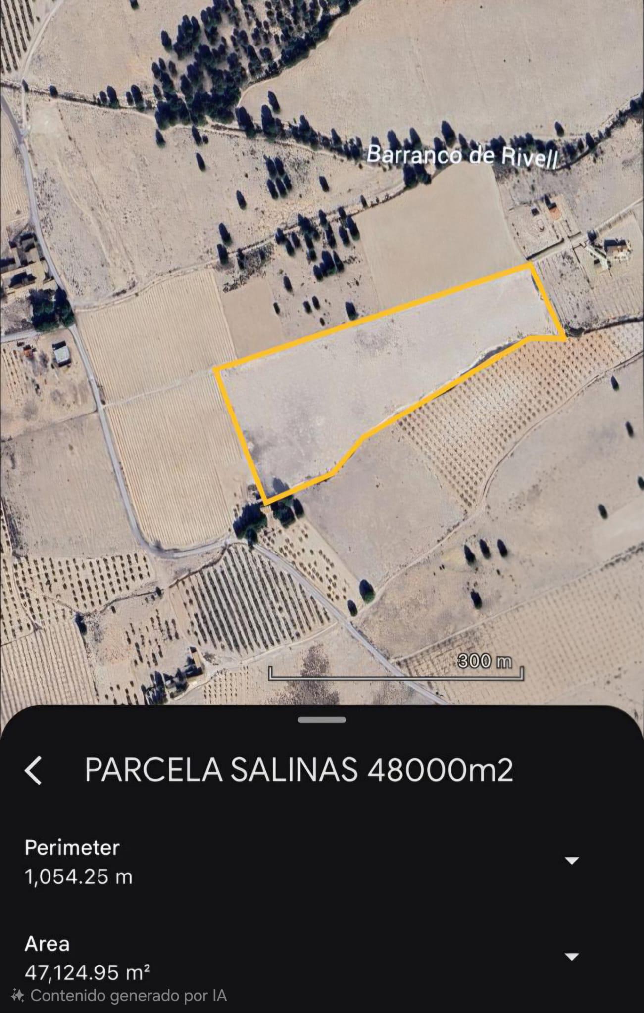 Imagen 2 Casa Rústica en venta en Salinas / Finca rústica zona Finca Sonrisa, yendo a la derecha