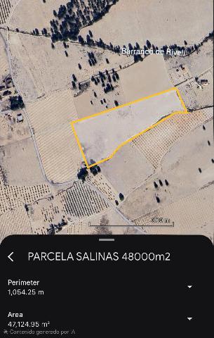 Imagen 2 Inmueble 298510 - Casa Rústica en venta en Salinas / Finca rústica zona Finca Sonrisa, yendo a la derecha