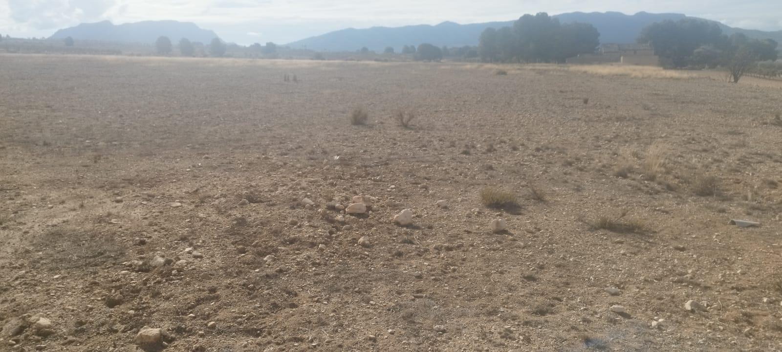 Imagen 4 Casa Rústica en venta en Salinas / Finca rústica zona Finca Sonrisa, yendo a la derecha