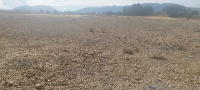 Imagen 4 Inmueble 298510 - Casa Rústica en venta en Salinas / Finca rústica zona Finca Sonrisa, yendo a la derecha