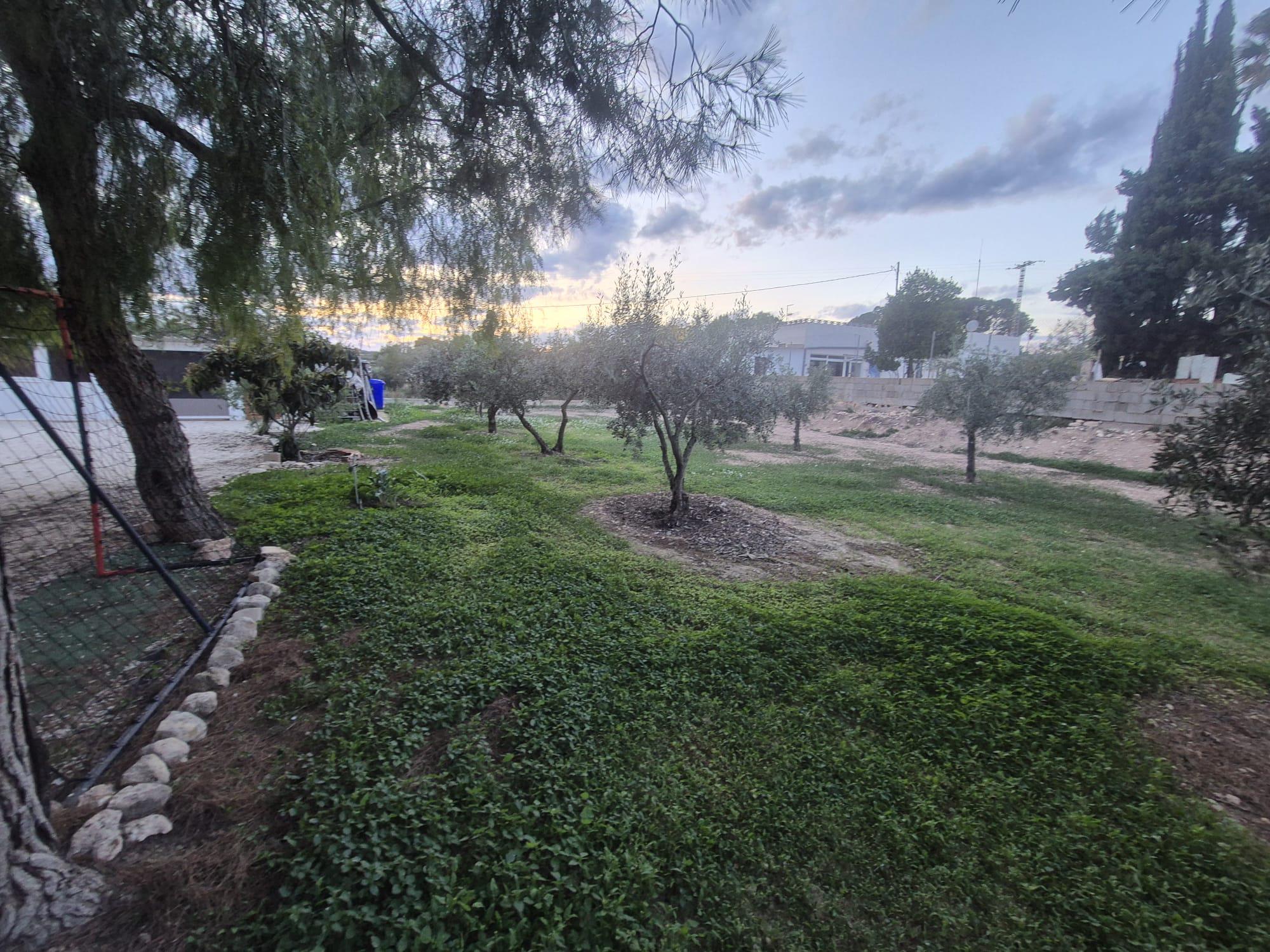 Imagen 30 Casa Rústica en venta en Elda / Casa de campo Pda. Campo Alto del Sur, a 5 min. de Elda