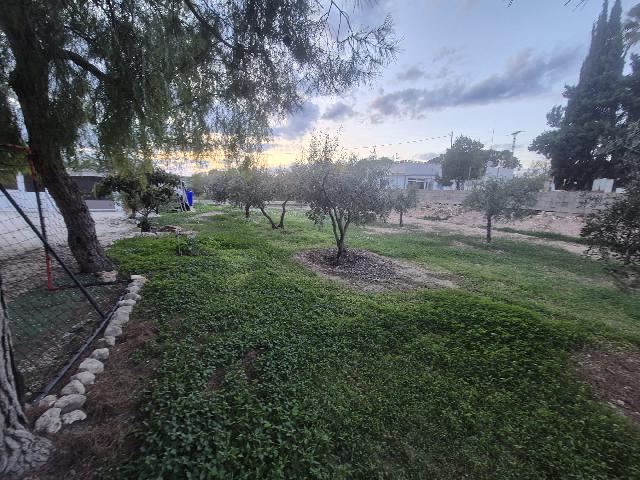 Imagen 30 Inmueble 298765 - Casa Rústica en venta en Elda / Casa de campo Pda. Campo Alto del Sur, a 5 min. de Elda