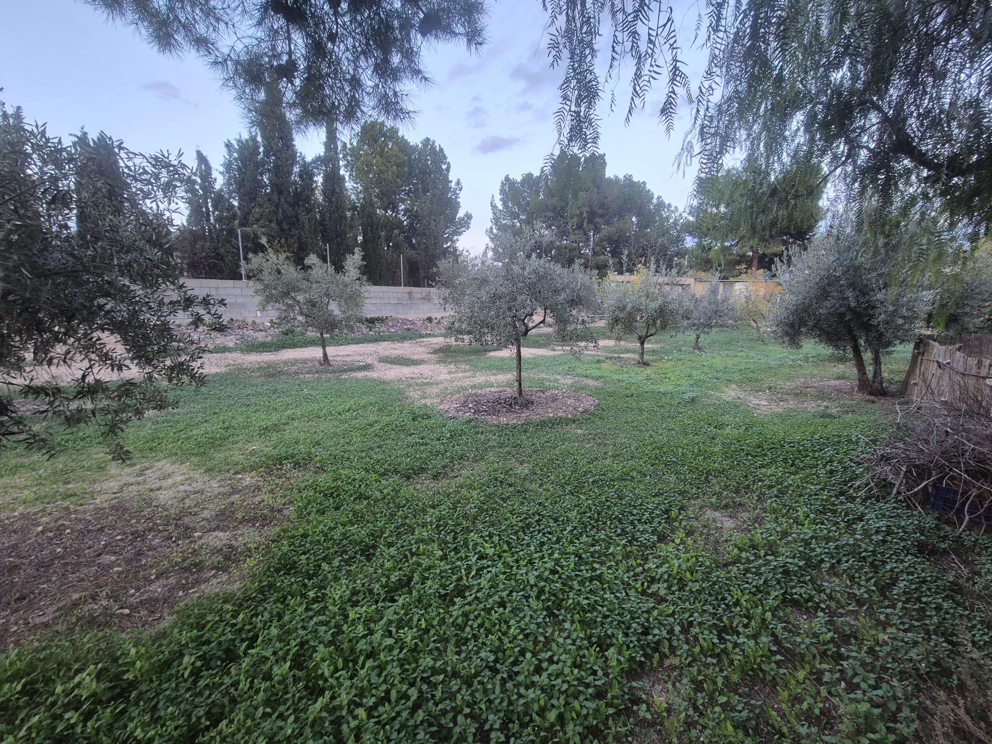 Imagen 31 Casa Rústica en venta en Elda / Casa de campo Pda. Campo Alto del Sur, a 5 min. de Elda