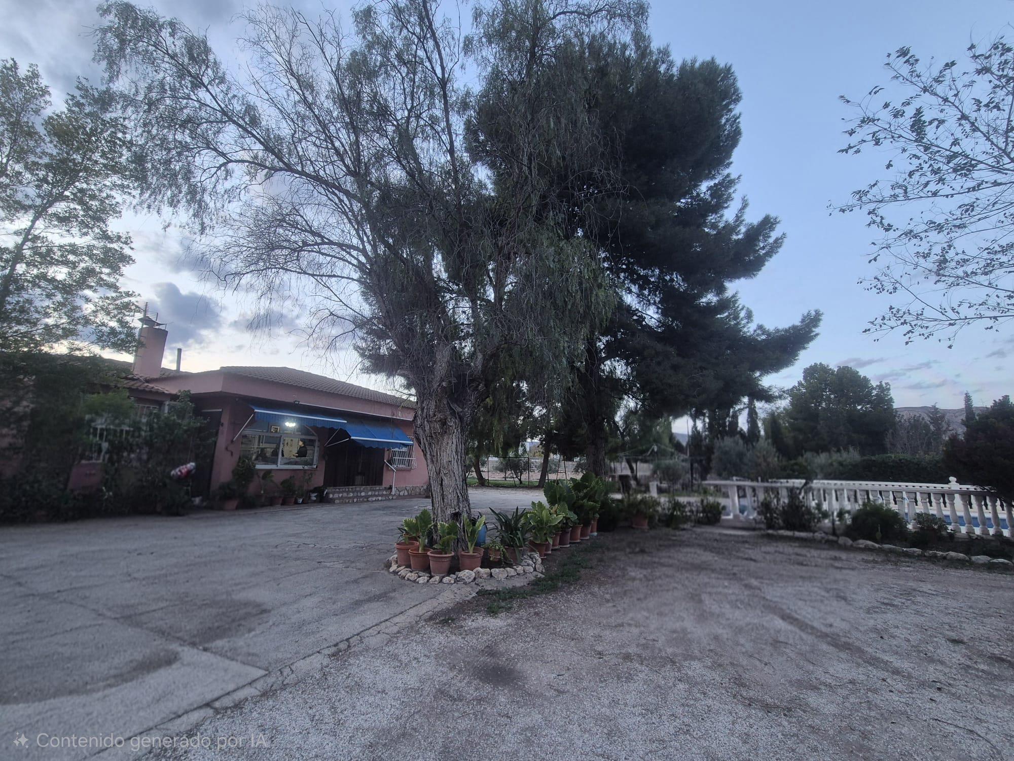 Imagen 4 Casa Rústica en venta en Elda / Casa de campo Pda. Campo Alto del Sur, a 5 min. de Elda