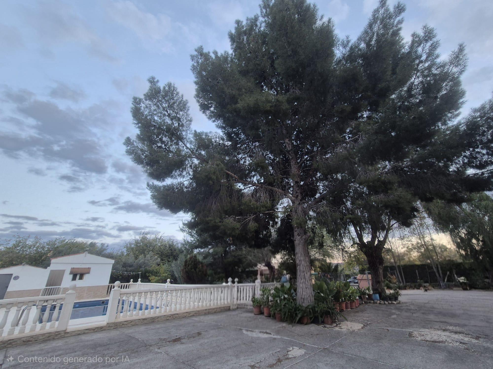 Imagen 26 Casa Rústica en venta en Elda / Casa de campo Pda. Campo Alto del Sur, a 5 min. de Elda