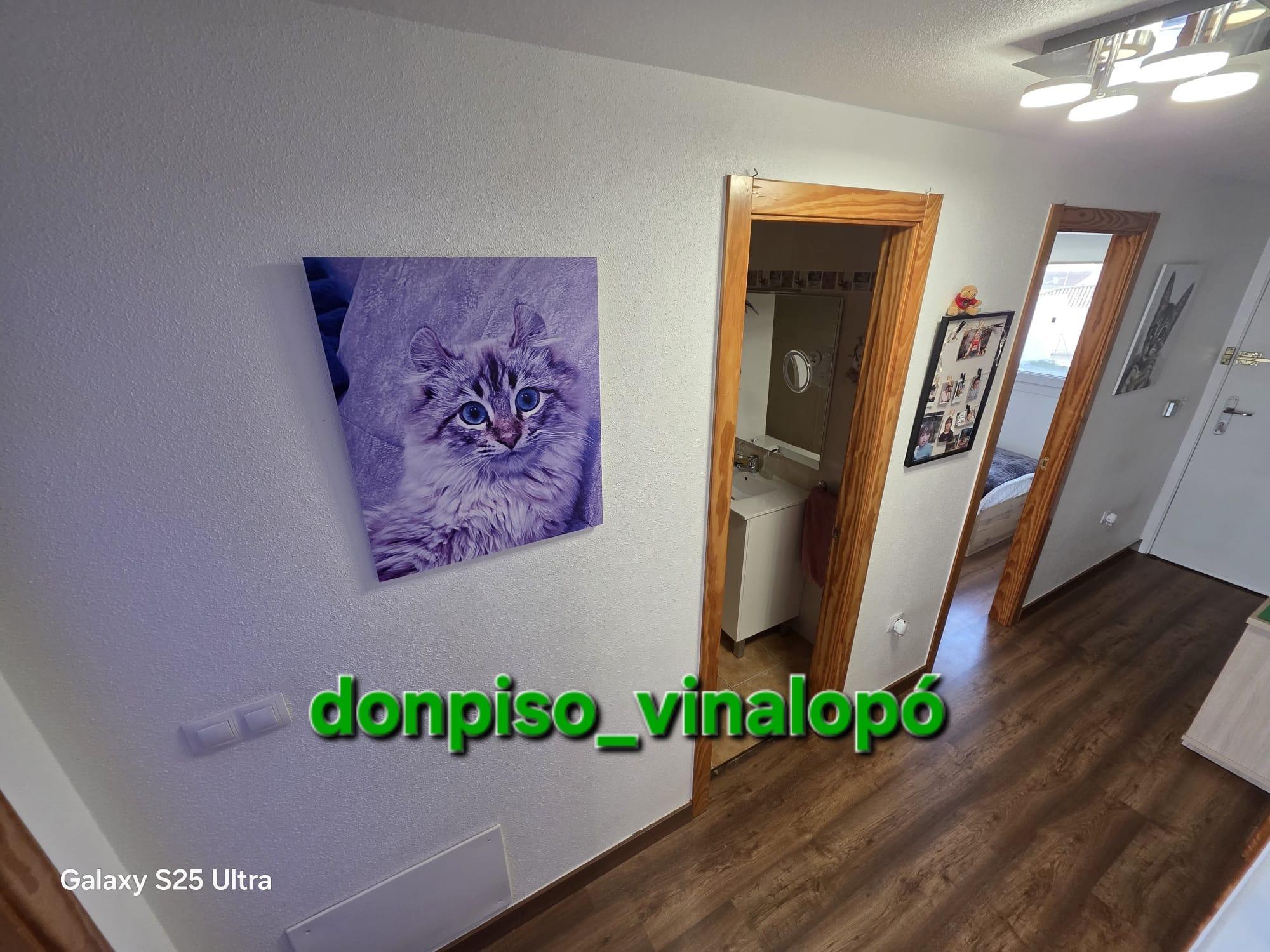 Imagen 15 Casa Adosada en venta en Sax / Adosado en Sax zona Centro de Día