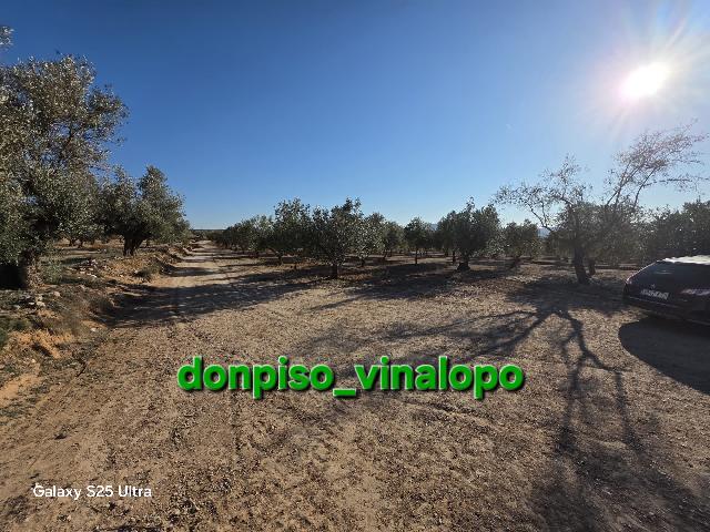 Imagen 20 Inmueble 301045 - Casa Rústica en venta en Caudete / Finca rústica con casa , Hoya Hermosa-Casa de Pina