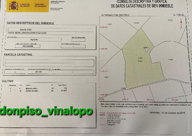 Imagen 22 Inmueble 301045 - Casa Rústica en venta en Caudete / Finca rústica con casa , Hoya Hermosa-Casa de Pina