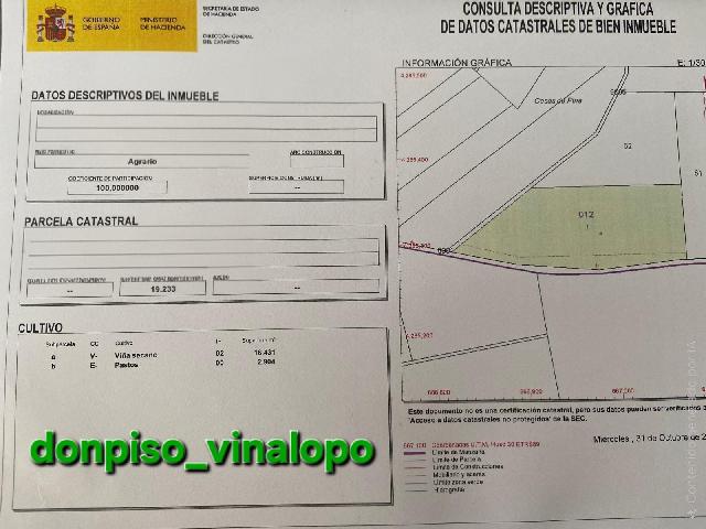 Imagen 24 Inmueble 301045 - Casa Rústica en venta en Caudete / Finca rústica con casa , Hoya Hermosa-Casa de Pina