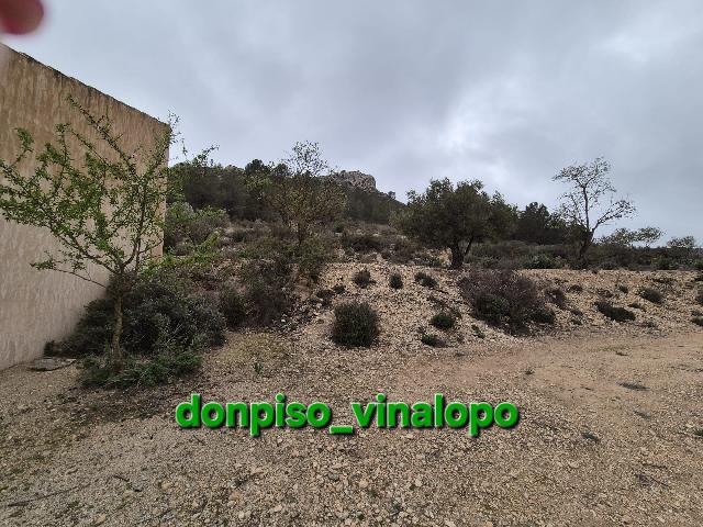 Imagen 9 Inmueble 301226 - Casa Adosada en venta en Villena / Parcela rústica con caseta en Cª de Biar, La Solana