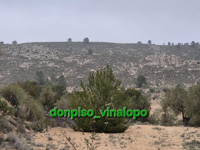 Imagen 13 Inmueble 301226 - Casa Adosada en venta en Villena / Parcela rústica con caseta en Cª de Biar, La Solana