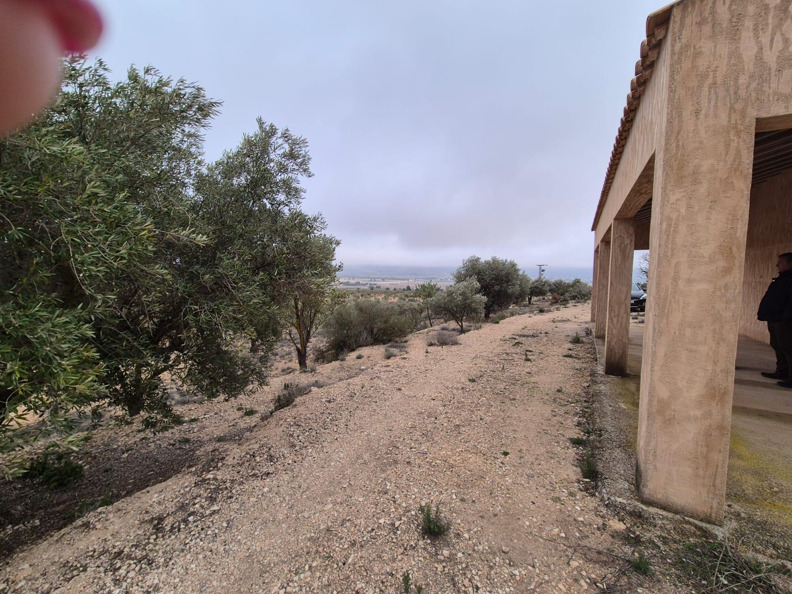 Imagen 3 Casa Adosada en venta en Villena / Parcela rústica con caseta en Cª de Biar, La Solana