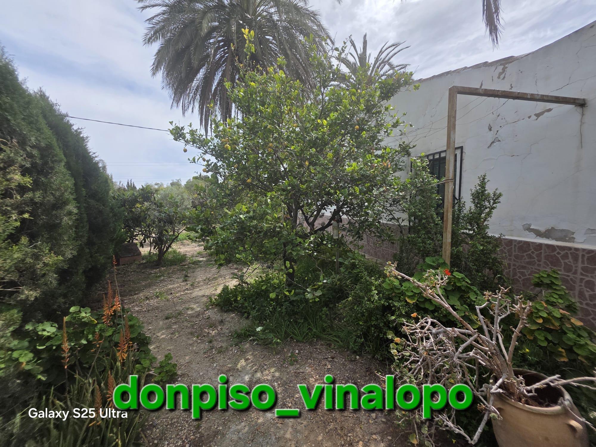 Imagen 34 Casa Rústica en venta en Elda / Casa de campo con balsa, zona Peter Rives - Finca Lacy