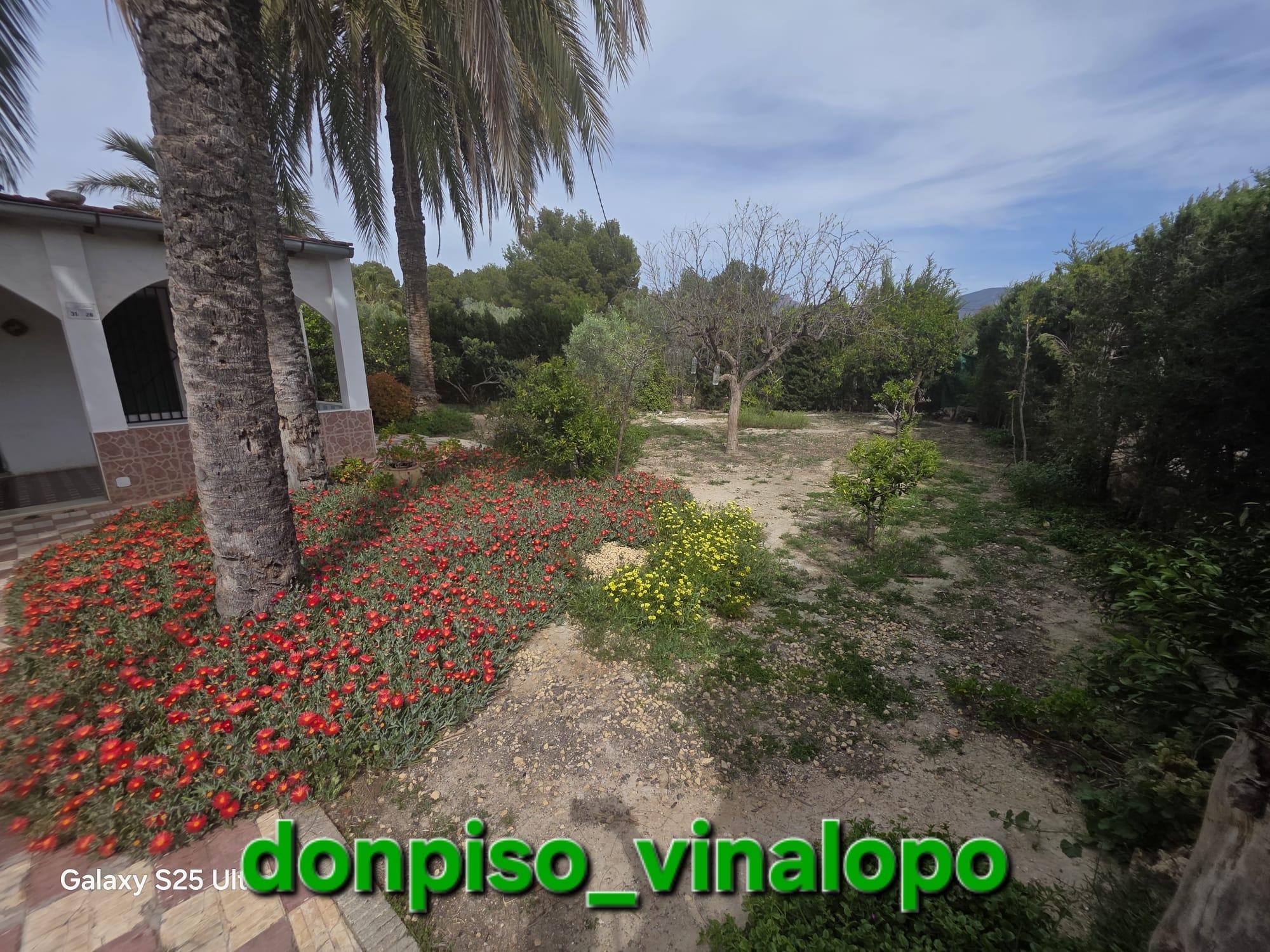 Imagen 6 Casa Rústica en venta en Elda / Casa de campo con balsa, zona Peter Rives - Finca Lacy