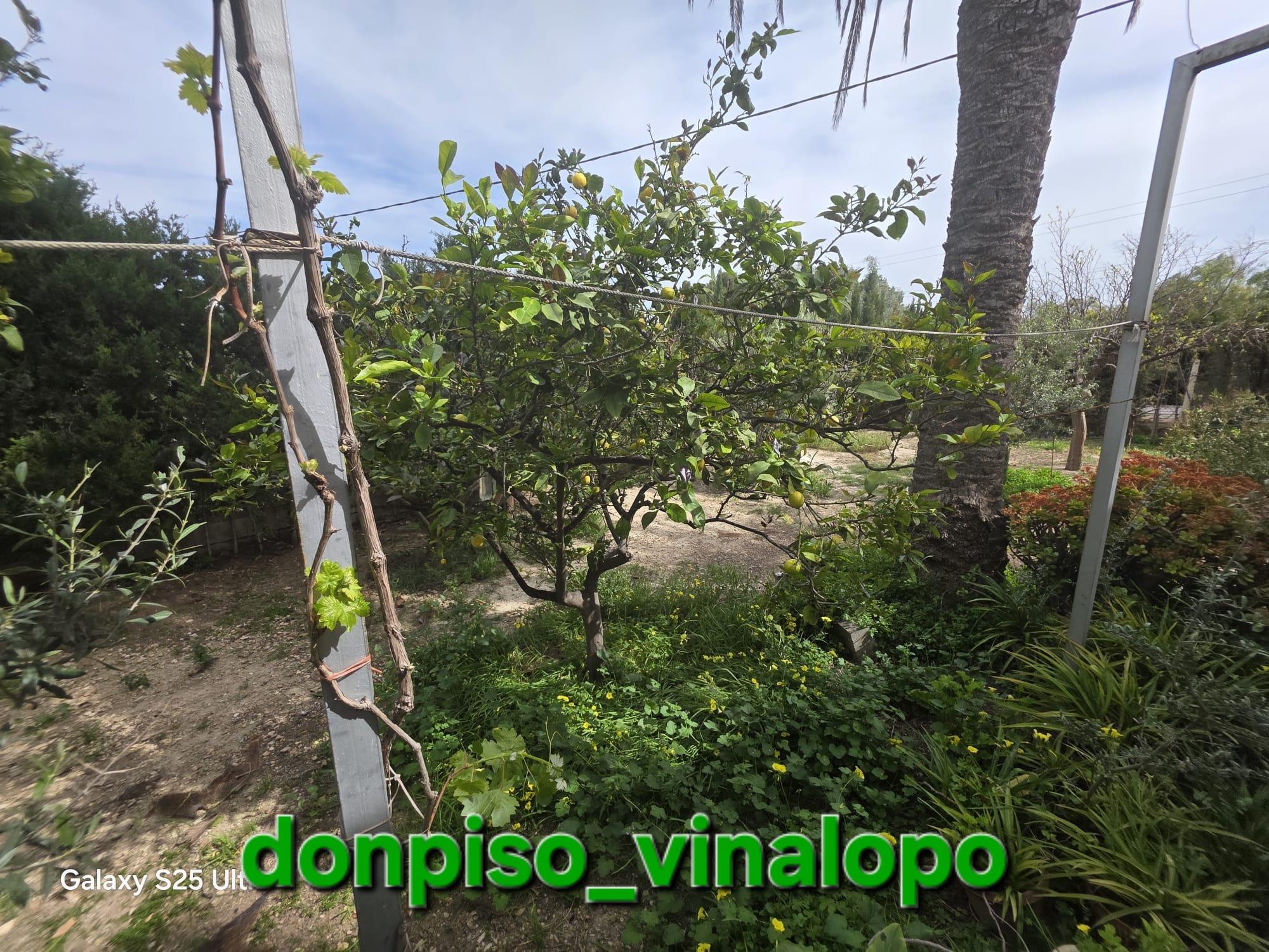 Imagen 36 Casa Rústica en venta en Elda / Casa de campo con balsa, zona Peter Rives - Finca Lacy