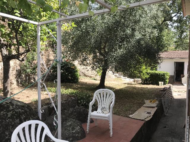 Imagen 11 Inmueble 252720 - Casa Rústica en venta en Poyales Del Hoyo / Casa en pleno parque natural del valle del Tietar 