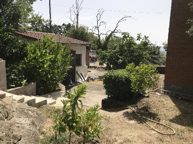 Imagen 12 Inmueble 252720 - Casa Rústica en venta en Poyales Del Hoyo / Casa en pleno parque natural del valle del Tietar 