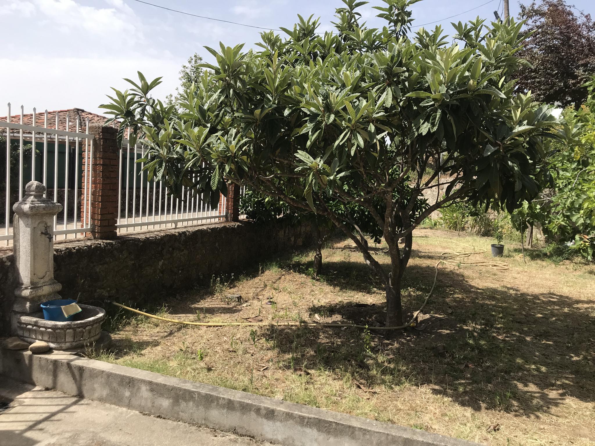 Imagen 13 Casa Rústica en venta en Poyales Del Hoyo / Casa en pleno parque natural del valle del Tietar 