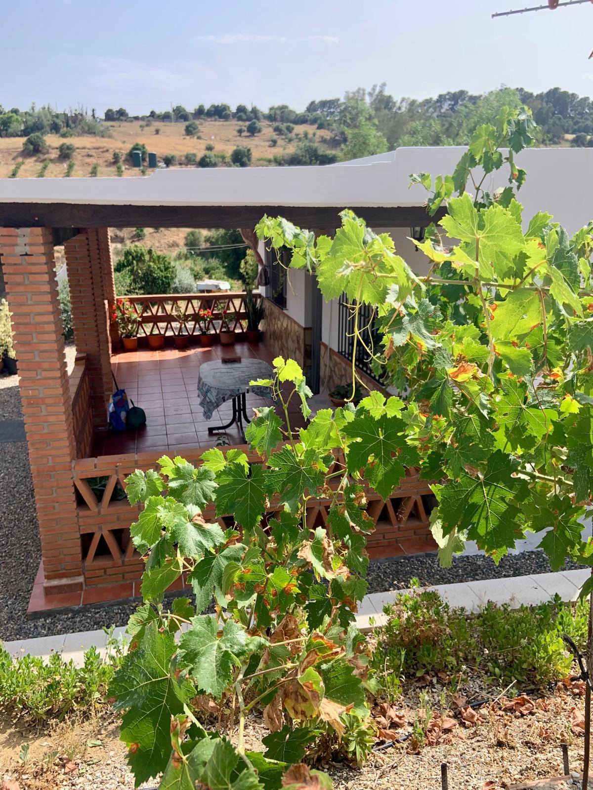 Imagen 21 Casa Rústica en venta en Pizarra / Ubicado a  1 kl de la carretera principal, con vecinos.