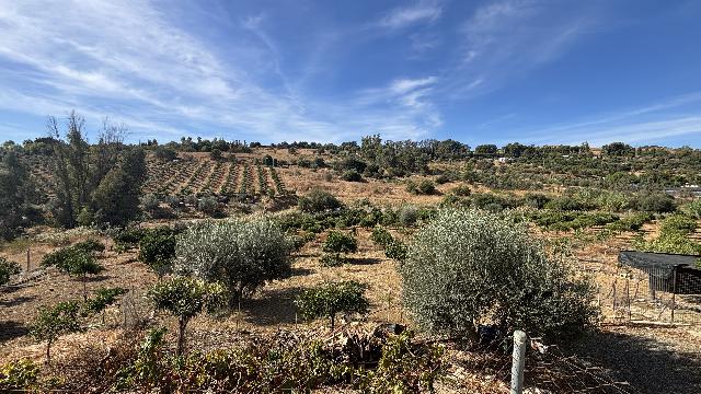 Imagen 28 Inmueble 297920 - Casa Rústica en venta en Pizarra / Ubicado a  1 kl de la carretera principal, con vecinos.