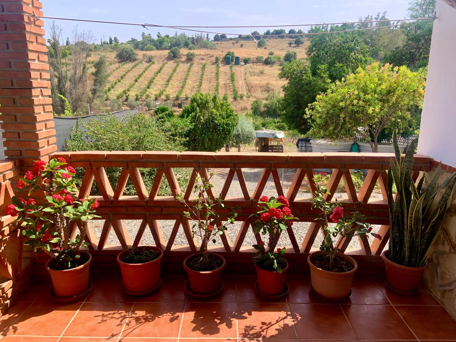 Imagen 6 Casa Rústica en venta en Pizarra / Ubicado a  1 kl de la carretera principal, con vecinos.