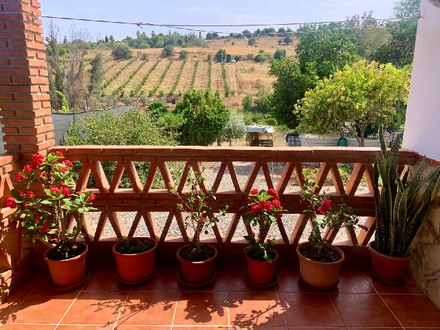 Imagen 6 Inmueble 297920 - Casa Rústica en venta en Pizarra / Ubicado a  1 kl de la carretera principal, con vecinos.