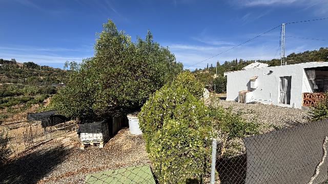 Imagen 31 Inmueble 297920 - Casa Rústica en venta en Pizarra / Ubicado a  1 kl de la carretera principal, con vecinos.