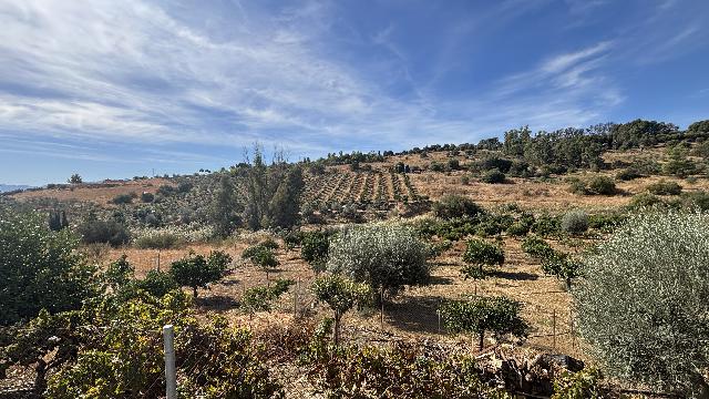 Imagen 33 Inmueble 297920 - Casa Rústica en venta en Pizarra / Ubicado a  1 kl de la carretera principal, con vecinos.