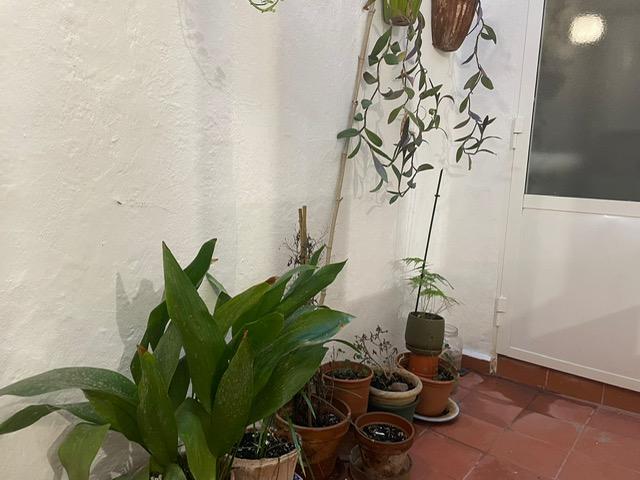 Imagen 22 Casa Pareada en venta en Ciutadella De Menorca / Casco Antiguo Ciudadela