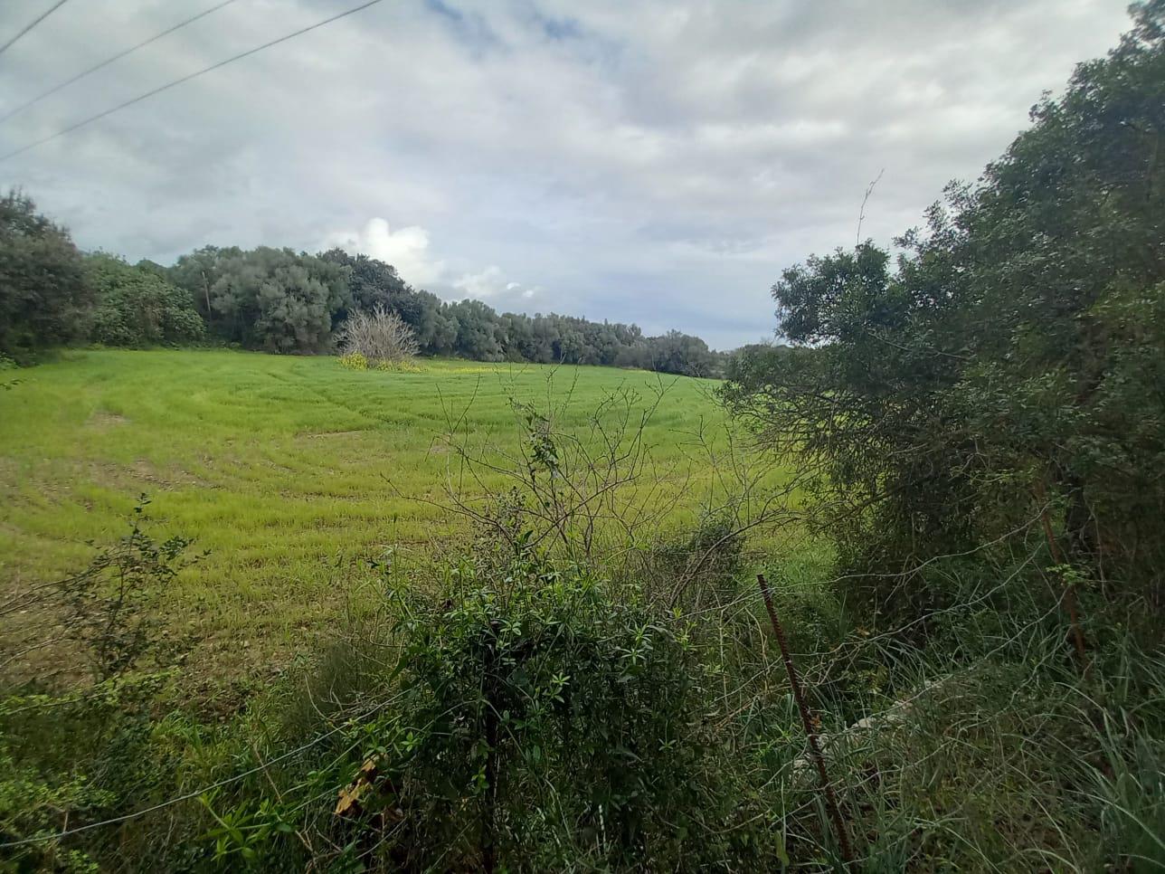 Imagen 6 Casa en venta en Selva / Finca rústica en Selva Baleares