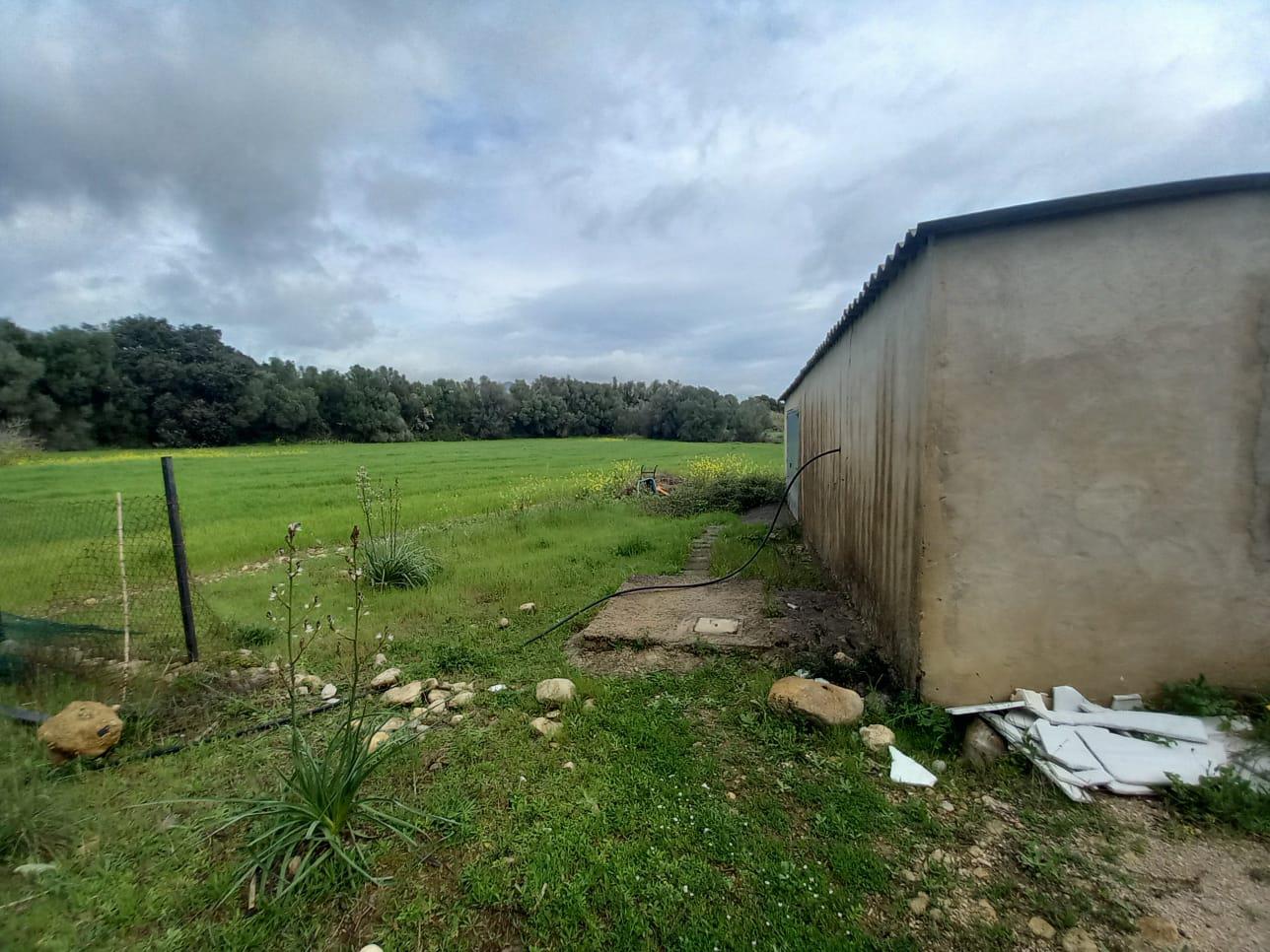 Imagen 7 Casa en venta en Selva / Finca rústica en Selva Baleares