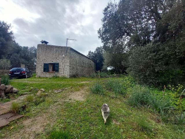 Imagen 9 Inmueble 293015 - Casa en venta en Selva / Finca rústica en Selva (Baleares)