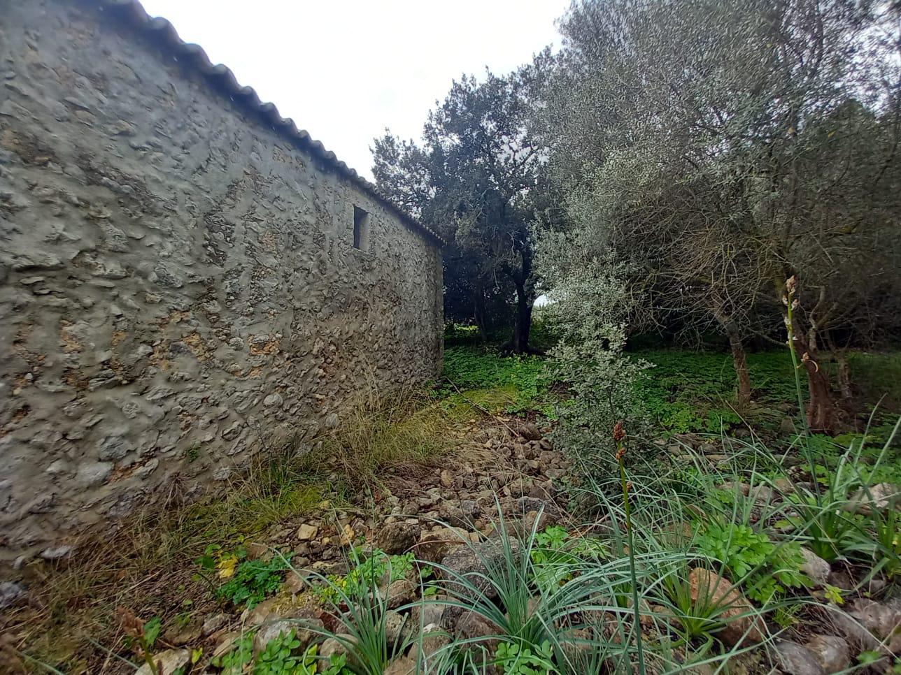 Imagen 11 Casa en venta en Selva / Finca rústica en Selva Baleares