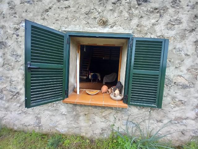 Imagen 14 Inmueble 293015 - Casa en venta en Selva / Finca rústica en Selva (Baleares)