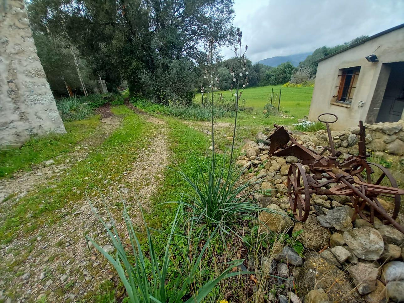 Imagen 1 Casa en venta en Selva / Finca rústica en Selva Baleares