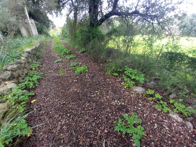 Imagen 15 Inmueble 293015 - Casa en venta en Selva / Finca rústica en Selva (Baleares)