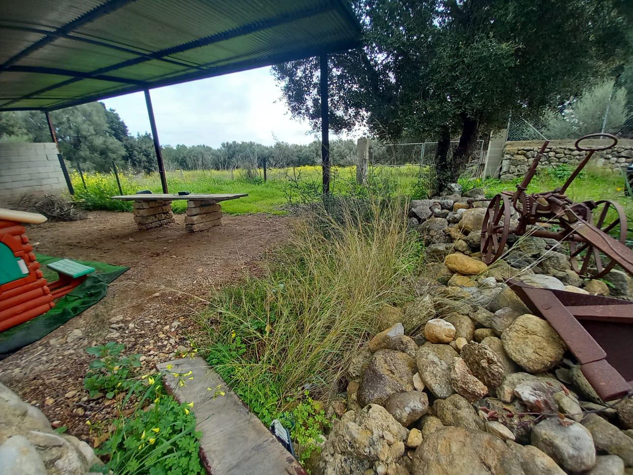 Imagen 3 Casa en venta en Selva / Finca rústica en Selva Baleares