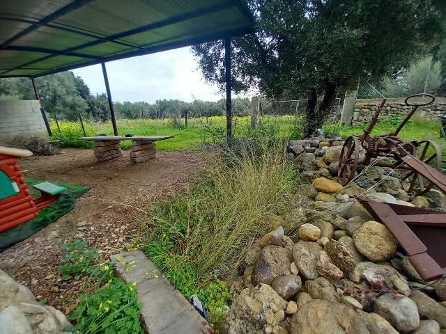 Imagen 3 Inmueble 293015 - Casa en venta en Selva / Finca rústica en Selva (Baleares)