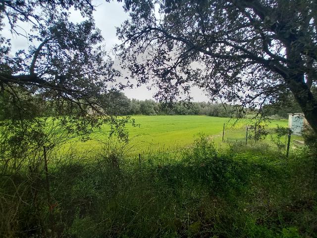 Imagen 17 Inmueble 293015 - Casa en venta en Selva / Finca rústica en Selva (Baleares)