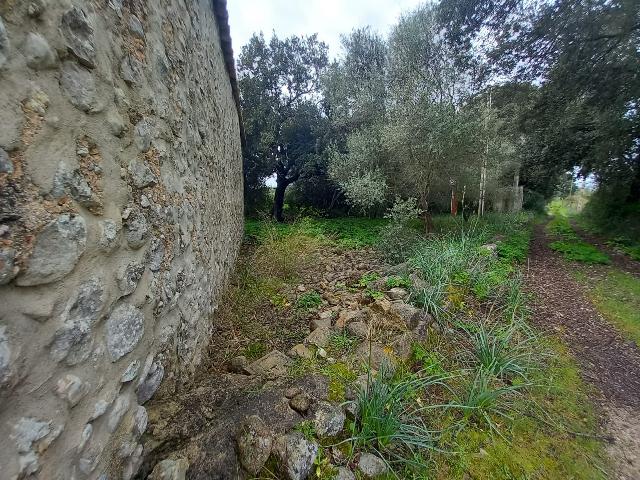 Imagen 18 Inmueble 293015 - Casa en venta en Selva / Finca rústica en Selva (Baleares)