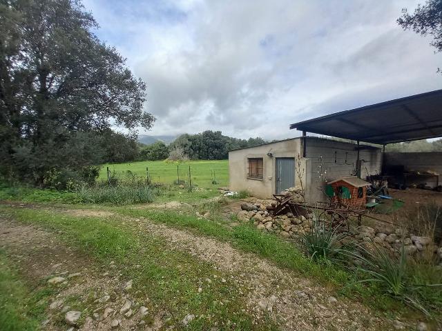 Imagen 5 Inmueble 293015 - Casa en venta en Selva / Finca rústica en Selva (Baleares)