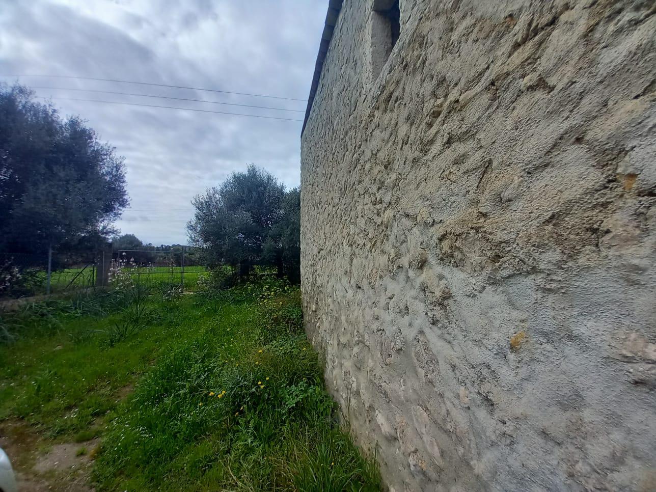 Imagen 19 Casa en venta en Selva / Finca rústica en Selva Baleares