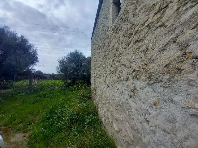 Imagen 19 Inmueble 293015 - Casa en venta en Selva / Finca rústica en Selva (Baleares)