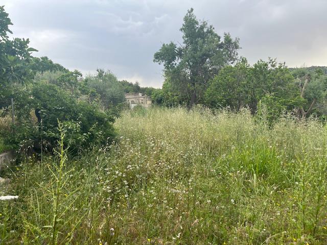 Imagen 7 Inmueble 293016 - Casa en venta en Mancor De La Vall / Sierra de Tramuntana - Mancor de la Vall