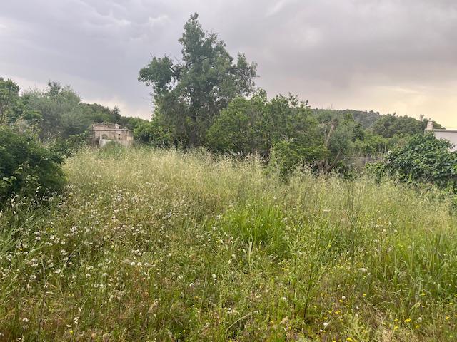 Imagen 6 Inmueble 293016 - Casa en venta en Mancor De La Vall / Sierra de Tramuntana - Mancor de la Vall