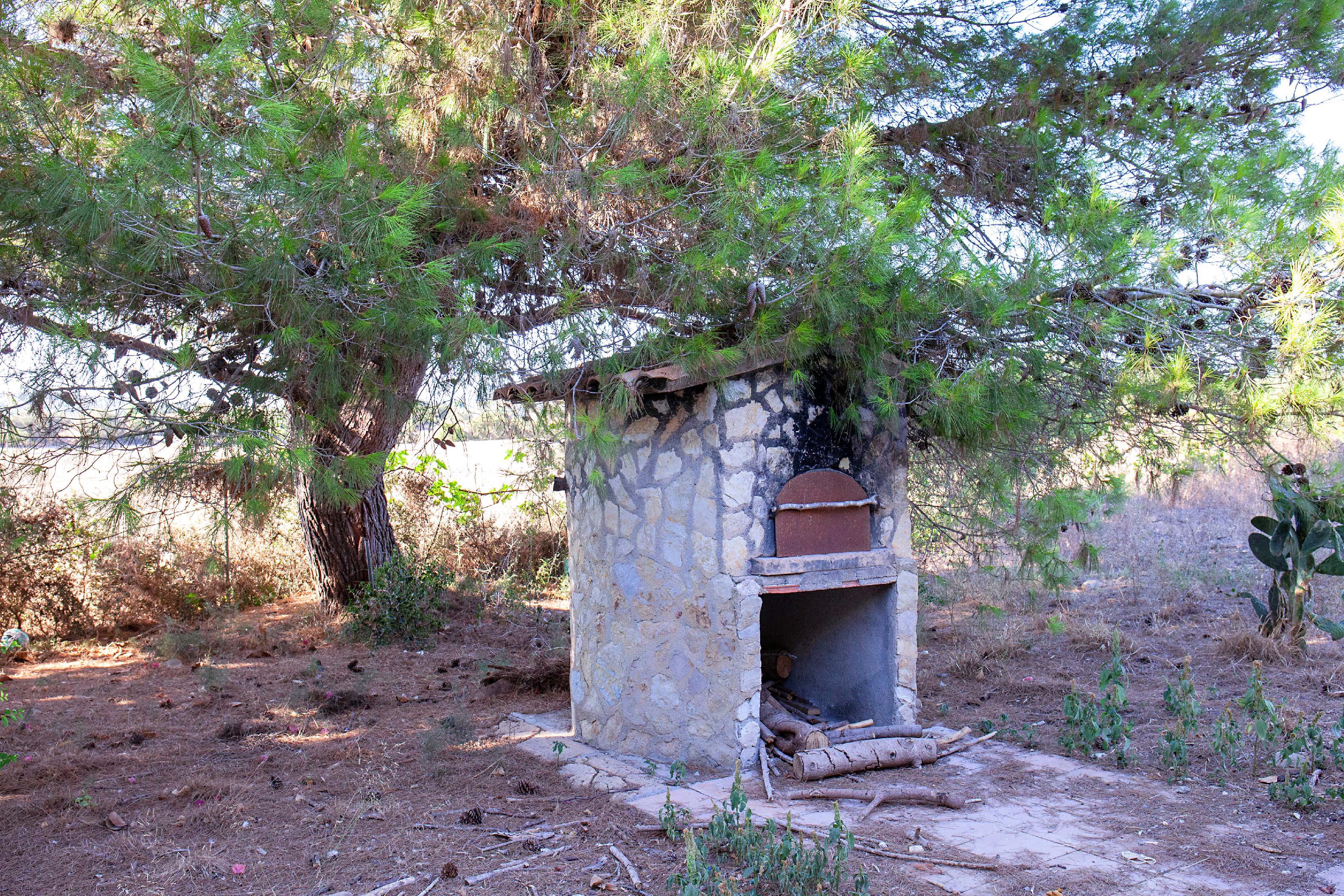 Imagen 3 Casa Rústica en venta en Manacor / Casa de campo rústica  parcela  en Son Talent  Manacor 